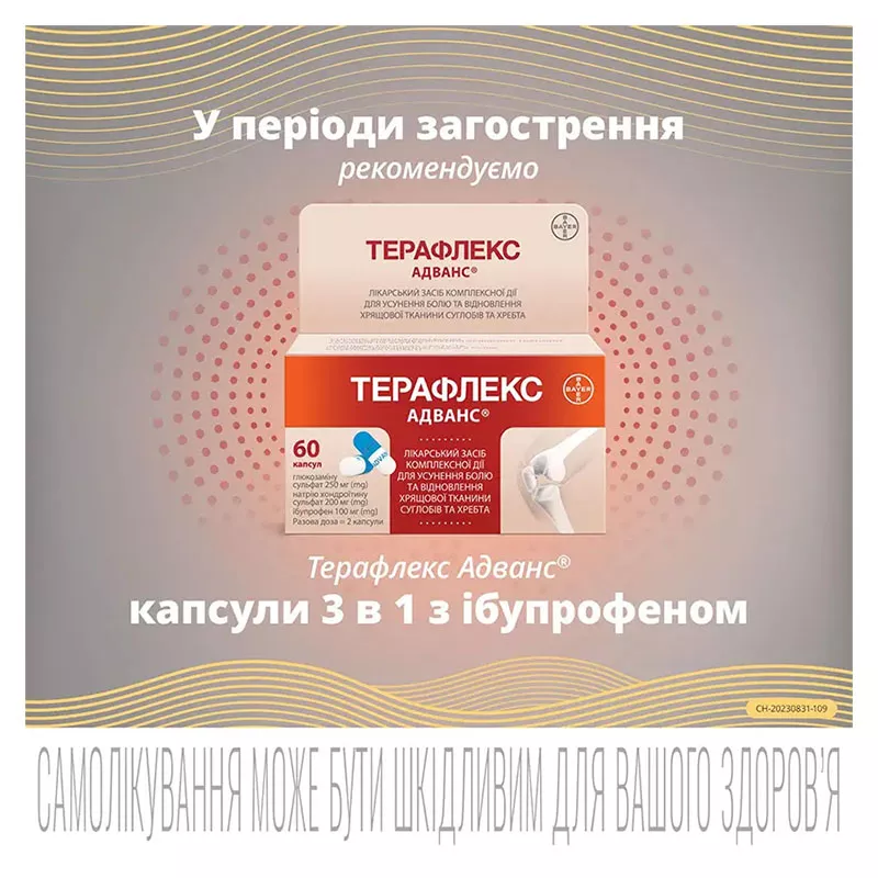 Терафлекс капсулы 60 шт. во флаконе