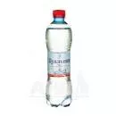 *Вода минеральная Куяльник I газ 0,5 л
