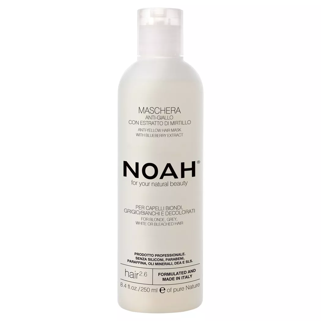NOAH Hair Маска для нейтрализации желтого тона с черникой 250мл