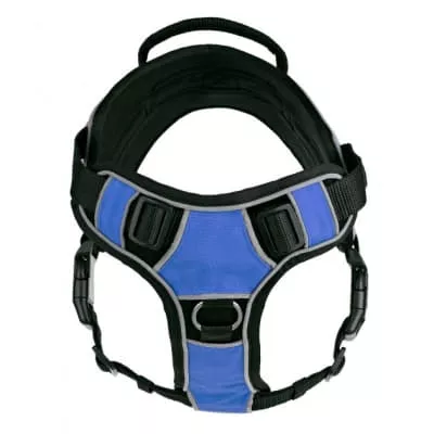 *Сандалии 4Rest Orto 06-114 р-р 24
