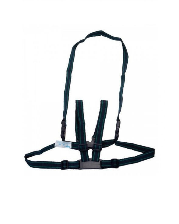 *Віжки Safety 38032760 для дітей