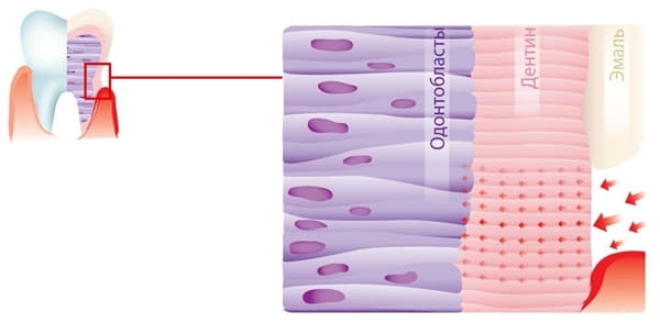 *Ополаскиватель Dr. Wild Emofluor для полости рта 250мл