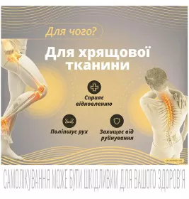 Терафлекс капсулы 60 шт. во флаконе