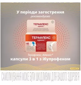 Терафлекс капсули 60 шт. у флаконі