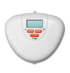 *Органайзер електронний XLN – 206 D