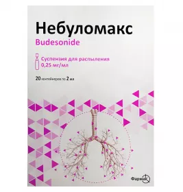 Небуломакс суспензія 0,25 мг/мл по 2 мл 20 шт. (5х4) у контейнері