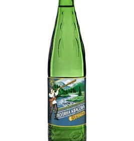 *Вода Поляна Квасова сильногазована скло 0,5л