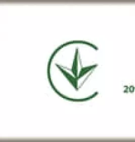 *Лейкопластир TIDY еластичний на тканинній основі Алое Вера №10