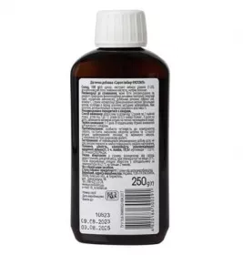 *Імбір-Екооіл сироп фл. 250г