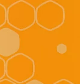 *Пінка Esfolio для вмивання медова 150 г