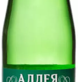 *Вода Ессентуки №17 минеральная 0,5 л