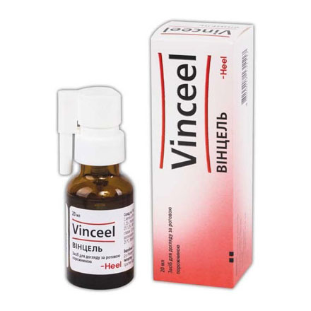 Вінцель спрей засіб для догляду за ротовою порожниною 20мл 