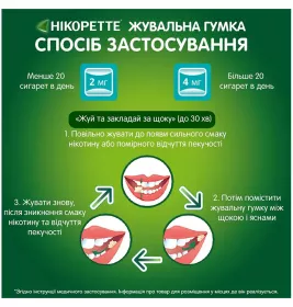 Нікоретте зимова м'ята гумка жувальна по 2 мг 30 шт. (15х2)