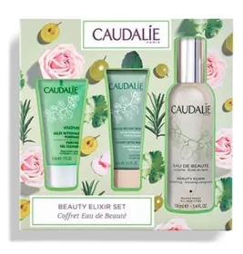 *Набор Caudalie Set Export Beauty Elixir (Эликсир д/лица 100мл+Образец Маска детокс 15м)