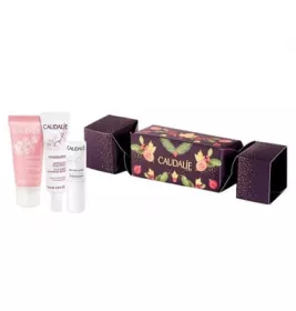 Набір Caudalie2767 Vinosource Cracker (Кондіціонер для губ зволожуючий анті-оксідант 4.5г; Віносурс зволожуючий крем сорбет, 15 мл; Vinosource Сироватка 10 мл)