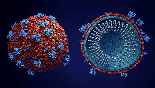патогенез та симптоми