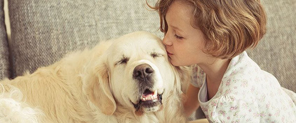 гельмінти 1